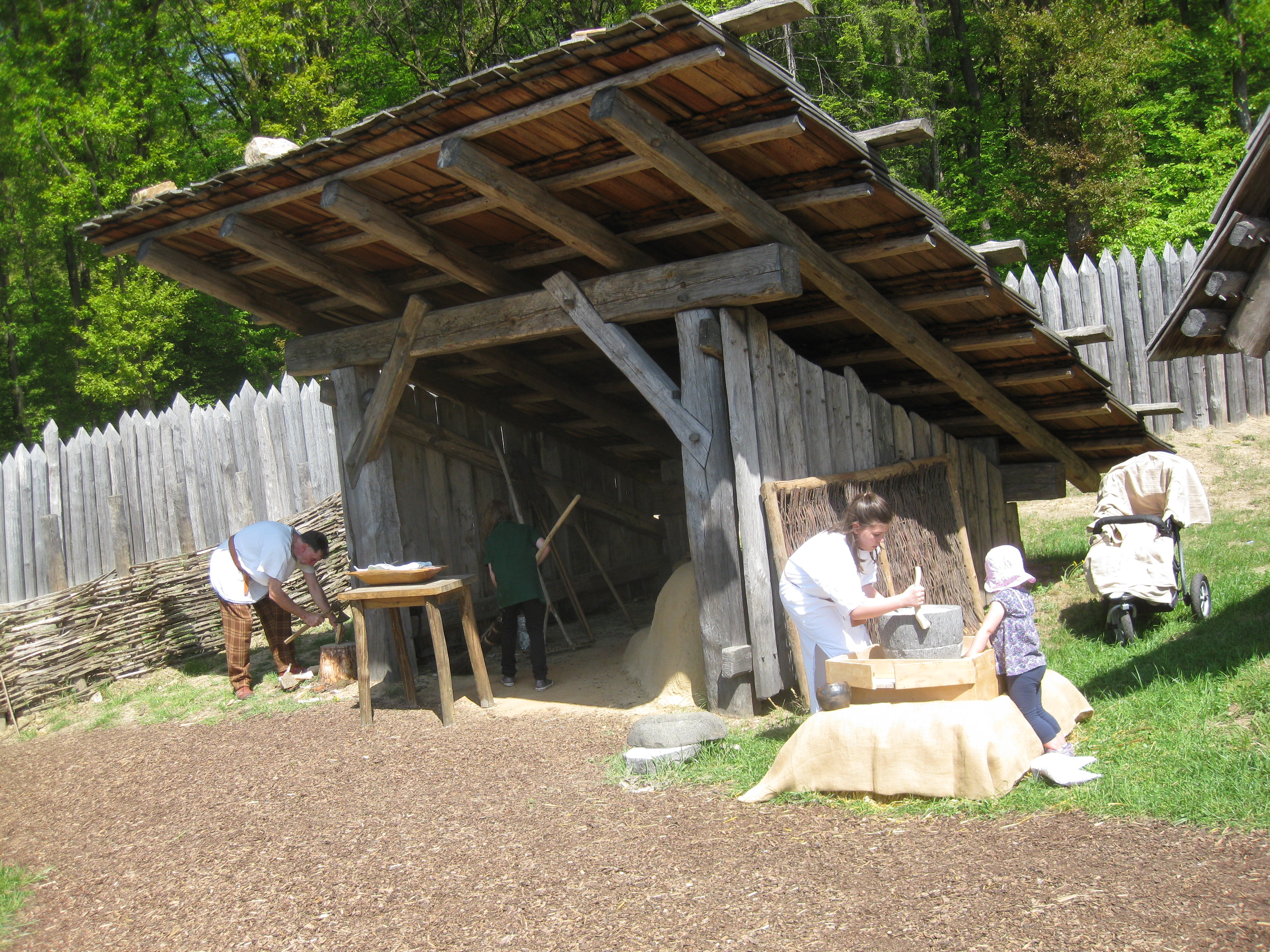 Backhaus